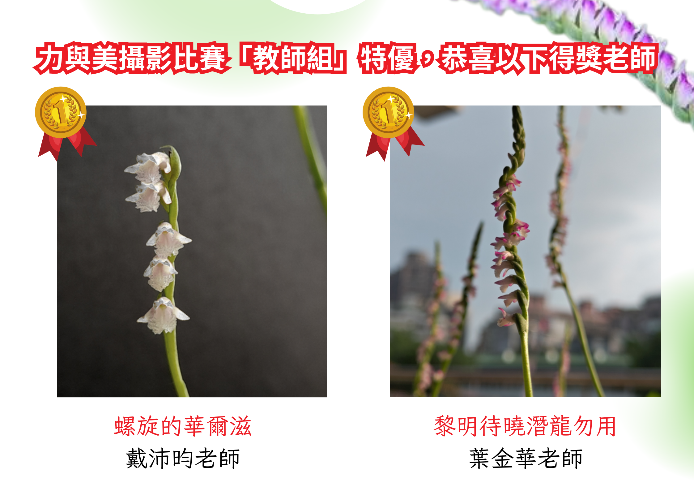 教師組特優